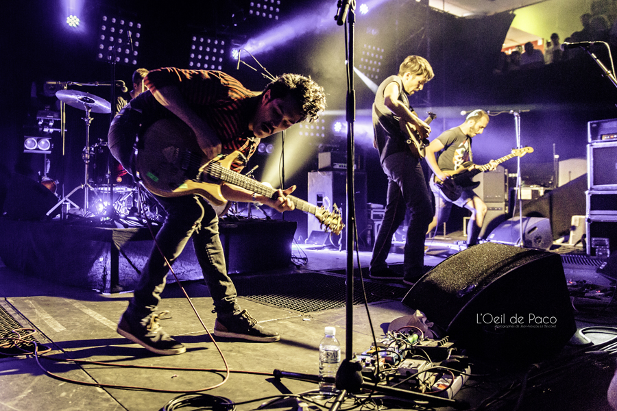 ArtRock_Totorro__1_par_L_Oeil_de_Paco